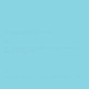 Meet your Posher, Ally